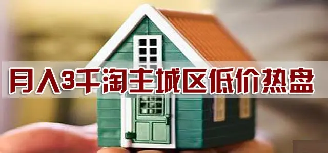 迪拜人均月收入_月收入3000买什么表(2)