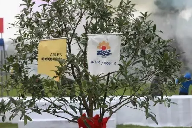 点击查看图片 点击查看图片